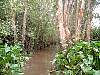 8-16 055 The canoe trip through the jungle of the Mekong where the VC underwater shelters were.jpg